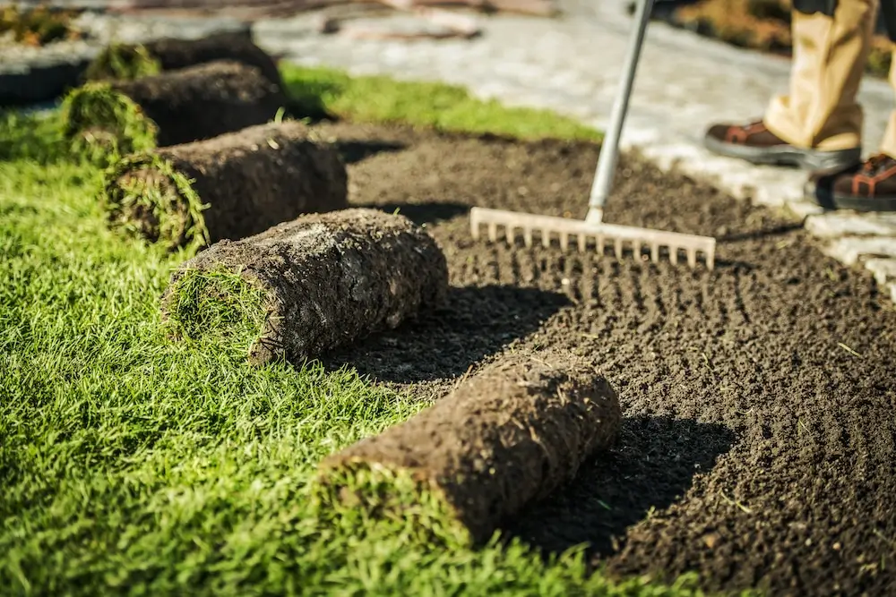 Hydroseeding Auckland and Hydroseeding North Shore – erosion control lawn care specialist inspecting and maintaining a hydroseeded area