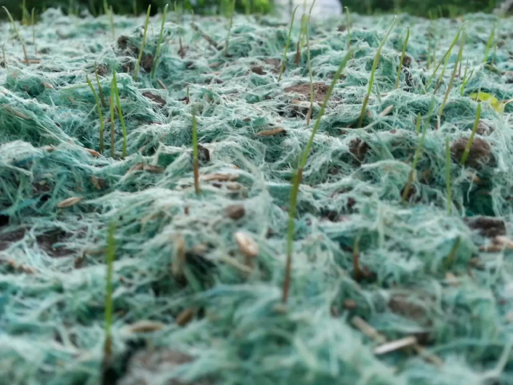 Hydroseeding Auckland and Hydroseeding North Shore – about us dedicated team offering expert hydroseeding and land restoration solutions