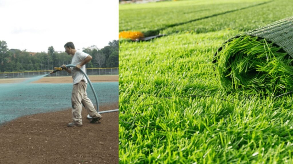 Hydroseeding Auckland and Hydroseeding North Shore Hydroseeding vs. ready lawn auckland