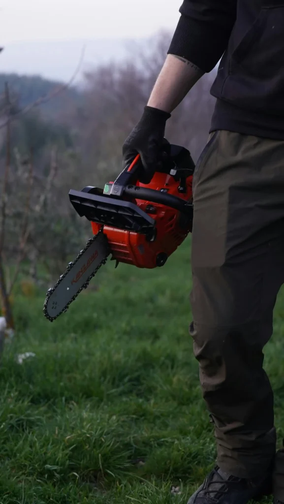 Hydroseeding Auckland and Hydroseeding North Shore – land clearing using specialist equipment for land clearing services