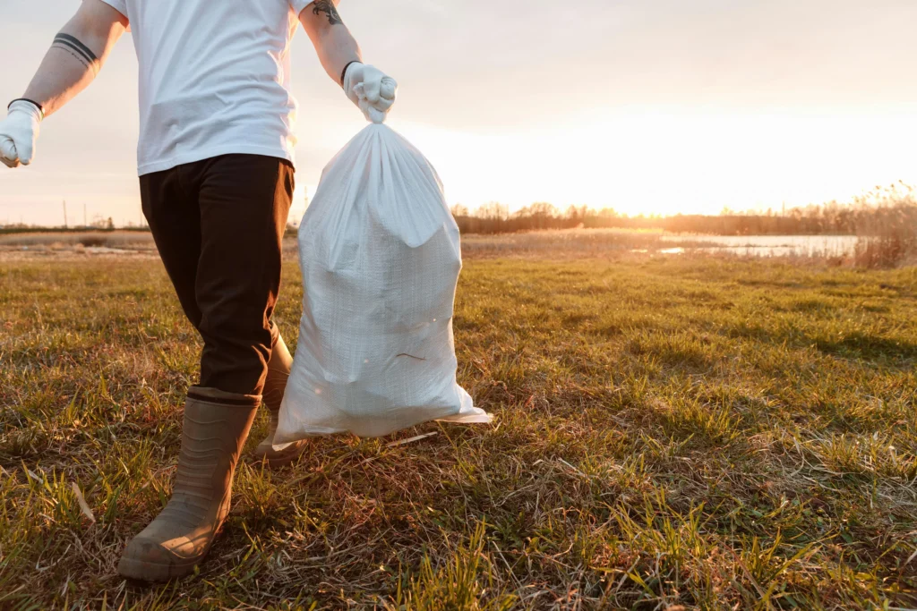 Hydroseeding Auckland and Hydroseeding North Shore – land clearing process provide land clearing services removing vegetation and debris for site preparation