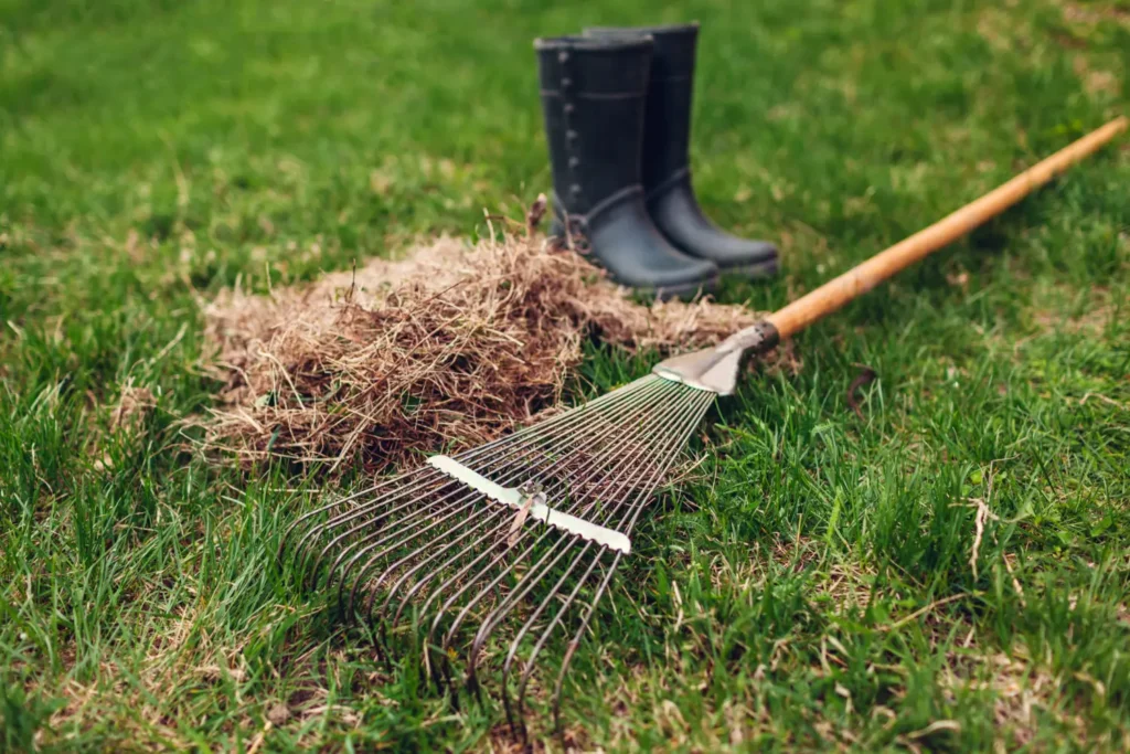 Hydroseeding North Shore and Hydroseeding Auckland – mulching guarantee commitment to high-quality mulching solutions for soil protection and sustainability.