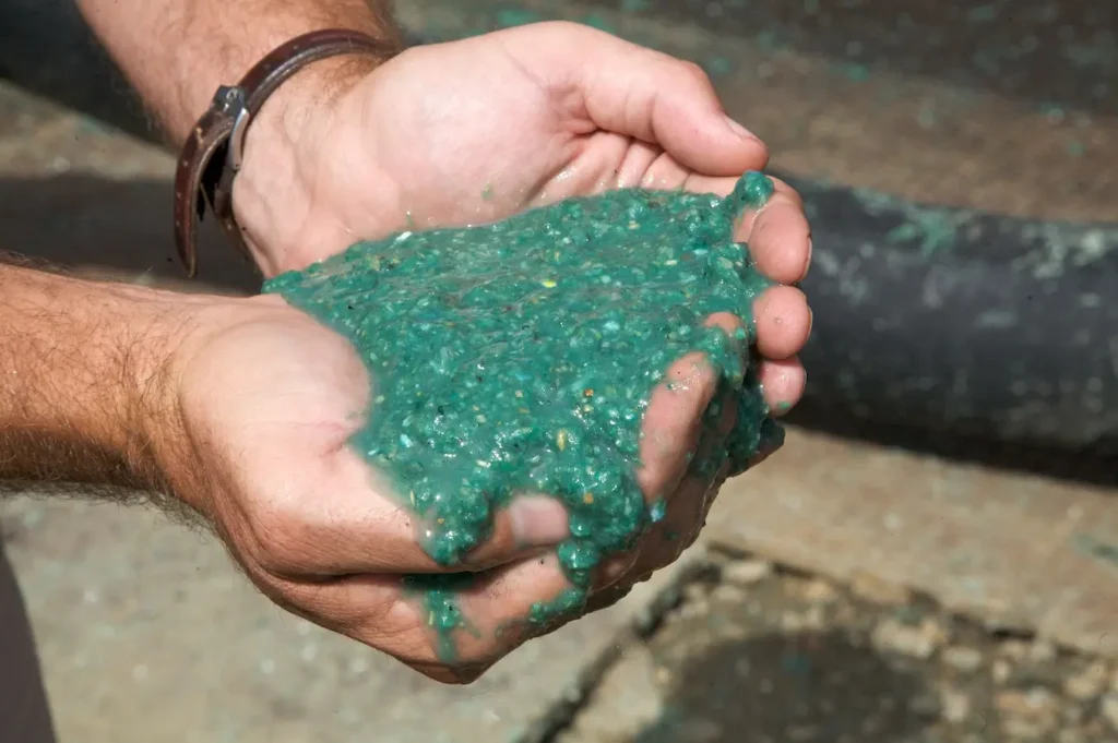 Hydroseeding North Shore and Hydroseeding Auckland – Expert hydroseeding for soil stabilization, erosion control, and revegetation.