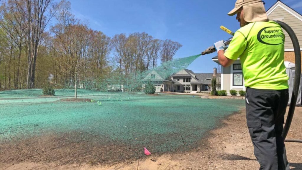 Hydroseeding Auckland and Hydroseeding North Shore what is hydroseeding grass auckland (6)